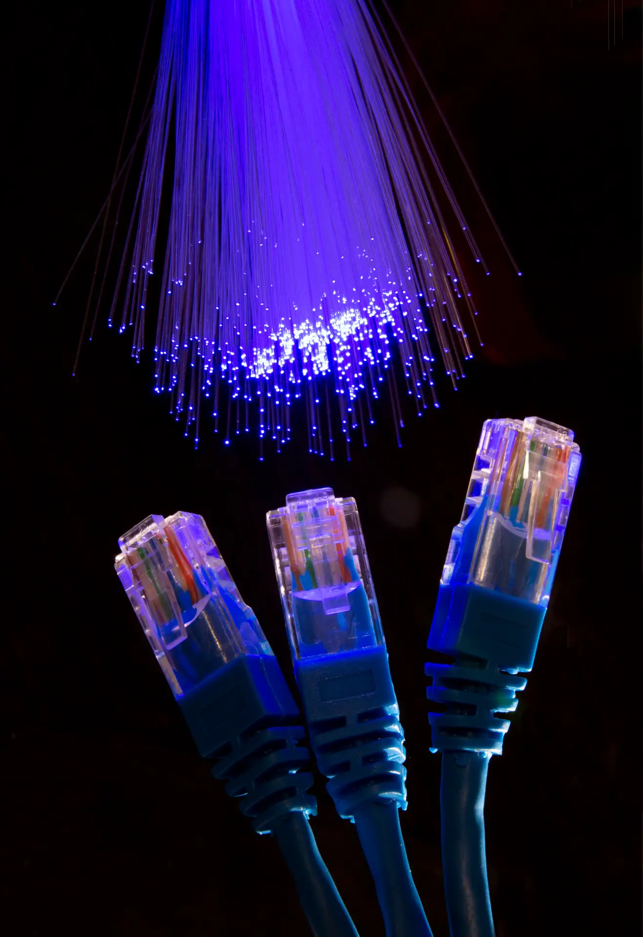 net cable net cable